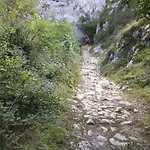 Apto. De Montana La Campa En Felechosa