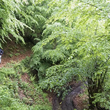 Apartamento Apto. De Montaña La Campa En *