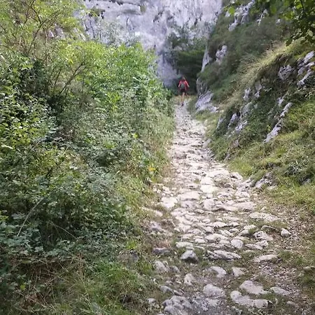 Apto. De Montaña La Campa En Felechosa