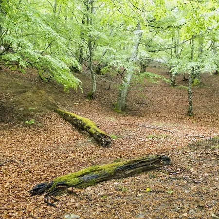 Apto. De Montaña La Campa En Apartamento